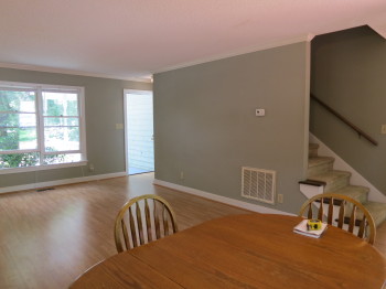 den 7